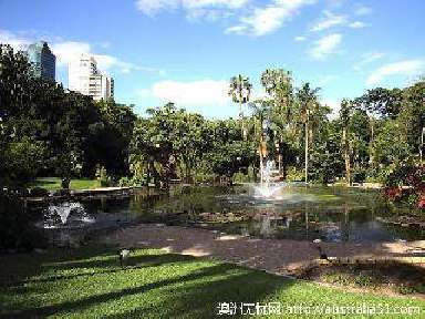 布里斯班市立植物园(city botanic gardens)