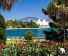 悉尼皇家植物园（Royal Botanic Gardens）