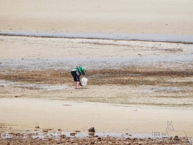 老司机在南澳之约克半岛自驾攻略