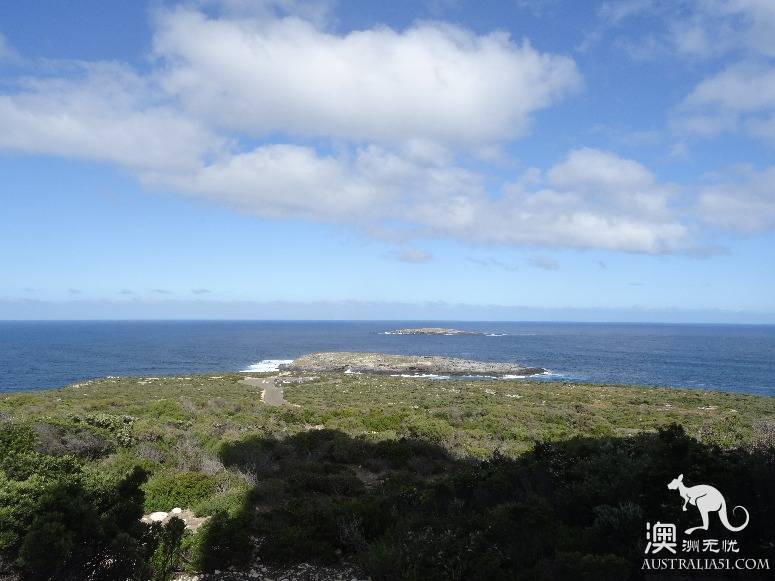 老司机在南澳之袋鼠岛自驾攻略