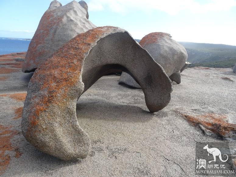 老司机在南澳之袋鼠岛自驾攻略