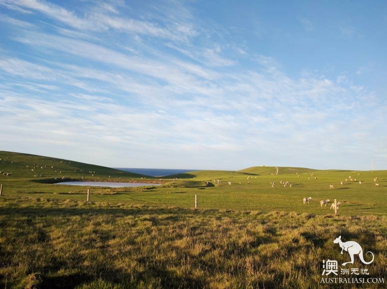 老司机在南澳之袋鼠岛自驾攻略