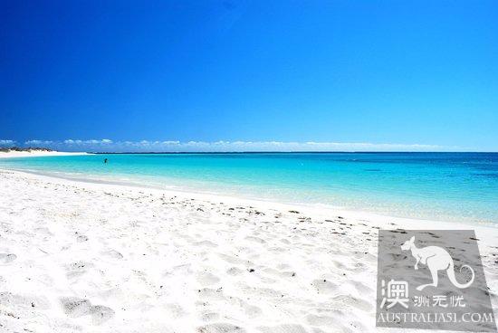 2017年澳洲五大最美海滩,白天堂海滩、冲浪者天堂、努沙主海滩和曼利海滩上榜