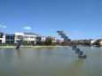 Mawson Lakes