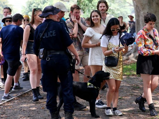 <a href='/city/Sydney/' target='_blank'>悉尼</a>音乐节上万人到场,数十人因持毒品被捕,1名警员遭袭受伤
