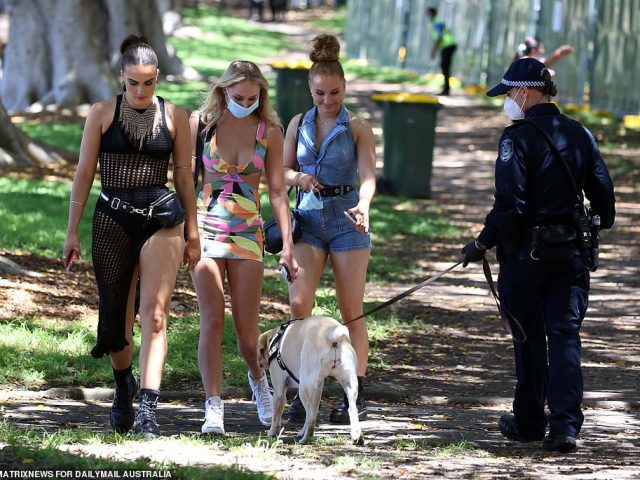 <a href='/city/Sydney/' target='_blank'>悉尼</a>音乐节上万人到场,数十人因持毒品被捕,1名警员遭袭受伤