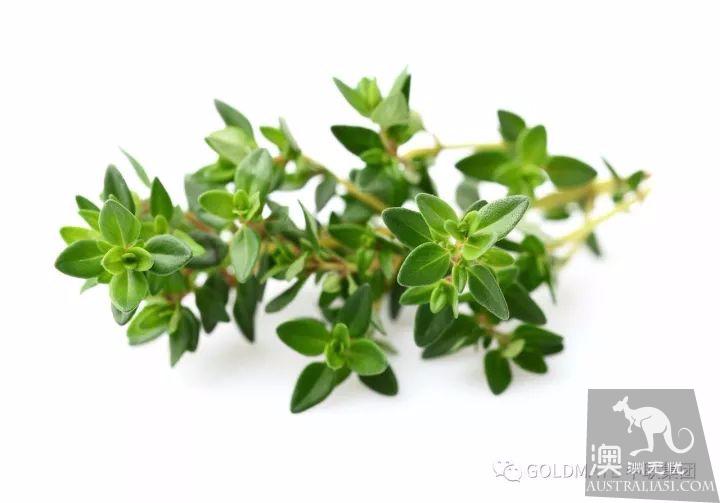 澳洲超市里常见的调味香料与香草,内附各类香料中英文对照