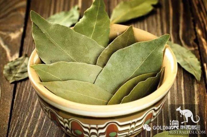 澳洲超市里常见的调味香料与香草,内附各类香料中英文对照