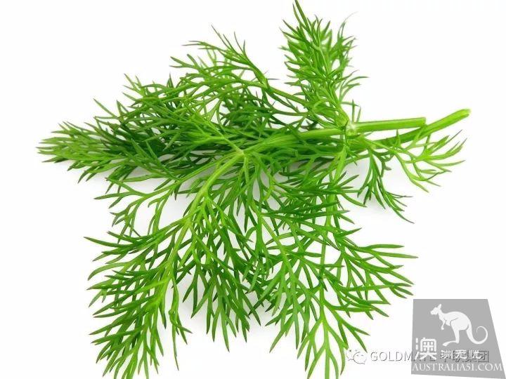 澳洲超市里常见的调味香料与香草,内附各类香料中英文对照