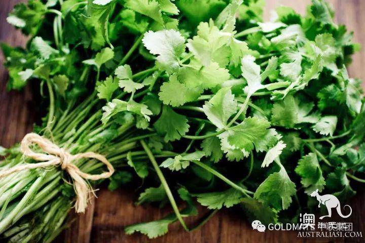 澳洲超市里常见的调味香料与香草,内附各类香料中英文对照