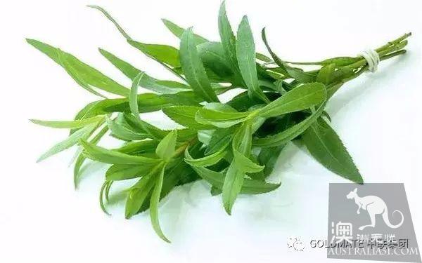 澳洲超市里常见的调味香料与香草,内附各类香料中英文对照