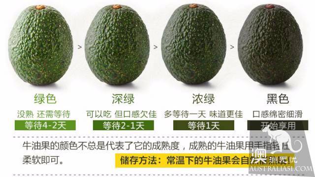 如何选择好的牛油果,牛油果的正确吃法
