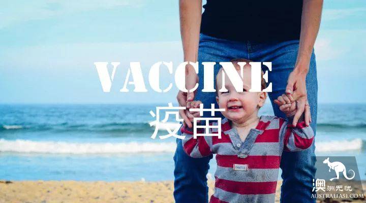手把手讲解在澳洲疫苗记录转换方法,附中英文对照表
