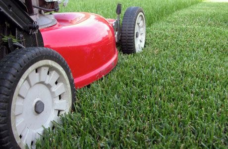 如何选择合适的割草机(Lawn Mower)?