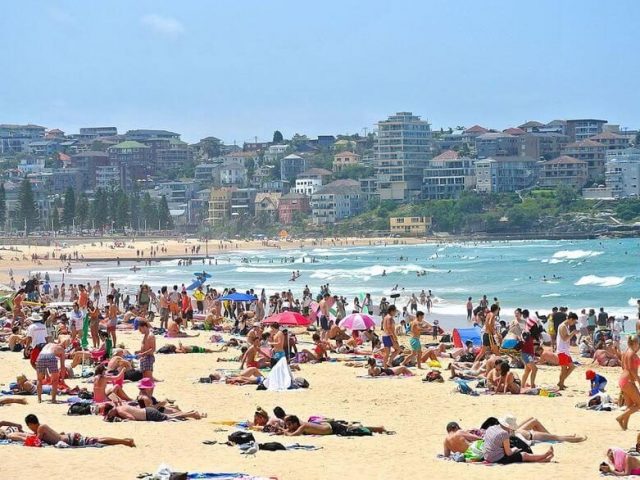 <a href='/city/Sydney/' target='_blank'>悉尼</a>海滩“高价”停车费遭吐槽,一天停车费高达近百元