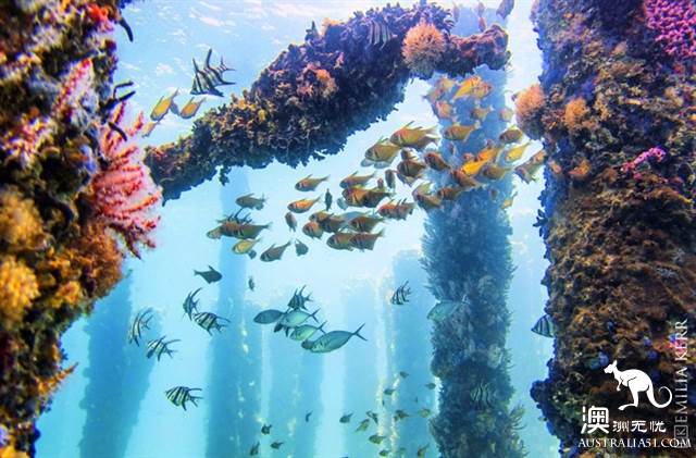 玛格丽特河巴斯顿长堤，重温千与千寻经典海上火车之旅
