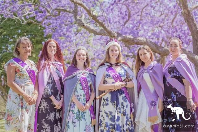 紫色的春天，澳洲格拉夫顿蓝花楹节全攻略