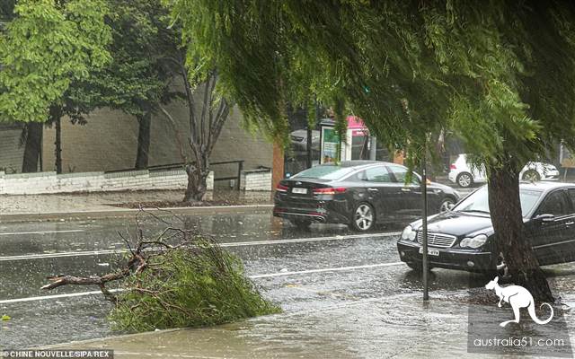 20年一遇暴雨:悉尼火车延误多地断电闭校