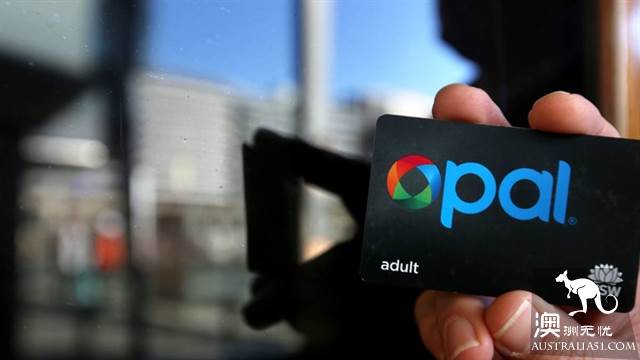 超详细悉尼游船攻略,在悉尼它们可不仅仅是交通工具
