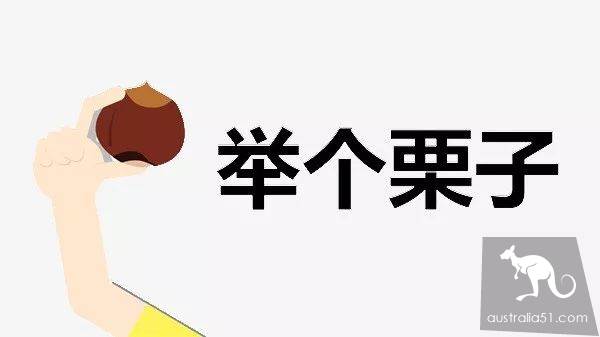 秋天到!墨尔本摘栗子攻略手册,最全采摘自驾路线,全打包好了