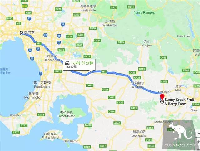 秋天到!墨尔本摘栗子攻略手册,最全采摘自驾路线,全打包好了