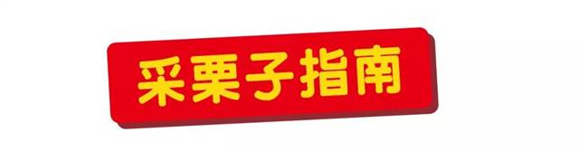 秋天到!墨尔本摘栗子攻略手册,最全采摘自驾路线,全打包好了