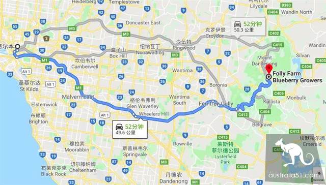 秋天到!墨尔本摘栗子攻略手册,最全采摘自驾路线,全打包好了