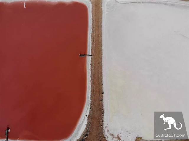 Hutt Lagoon,西澳小粉湖,喂上帝,你的兰蔻粉水洒了