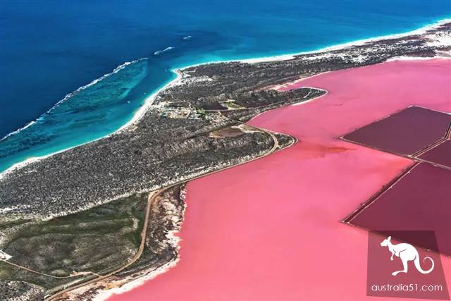 Hutt Lagoon,西澳小粉湖,喂上帝,你的兰蔻粉水洒了