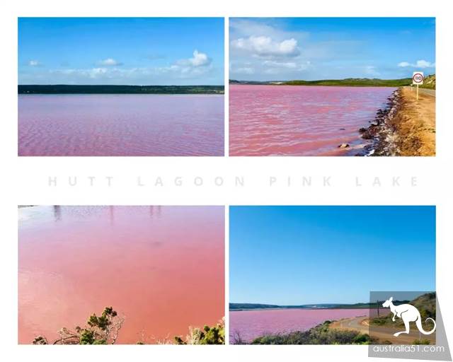 Hutt Lagoon,西澳小粉湖,喂上帝,你的兰蔻粉水洒了