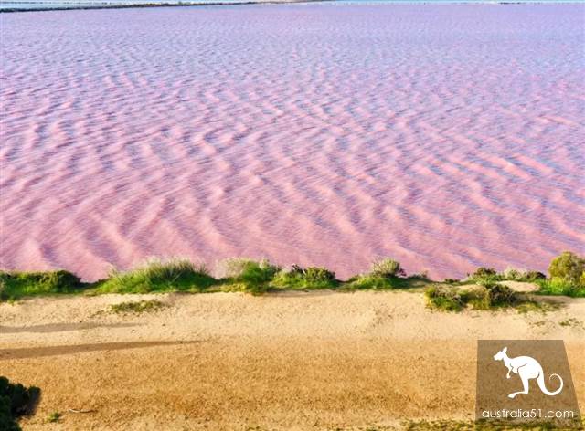 Hutt Lagoon,西澳小粉湖,喂上帝,你的兰蔻粉水洒了