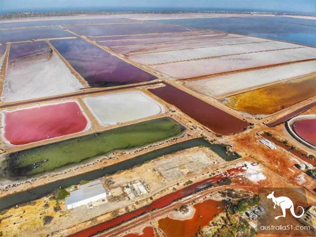 Hutt Lagoon,西澳小粉湖,喂上帝,你的兰蔻粉水洒了