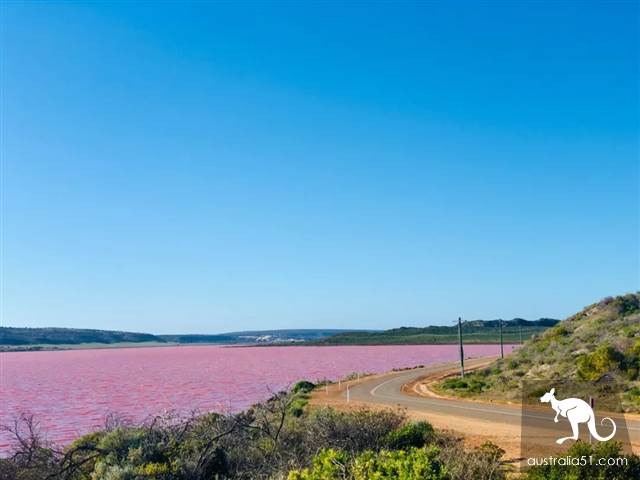 Hutt Lagoon,西澳小粉湖,喂上帝,你的兰蔻粉水洒了