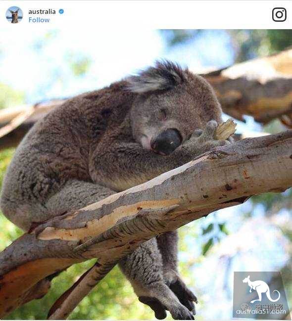 网上被点赞最多的绝美澳洲小岛,你去过几个?