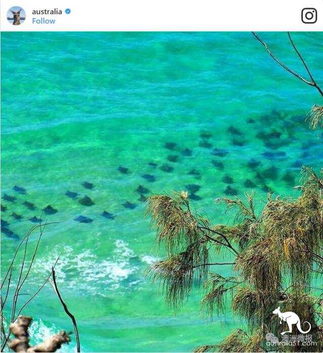 网上被点赞最多的绝美澳洲小岛,你去过几个?