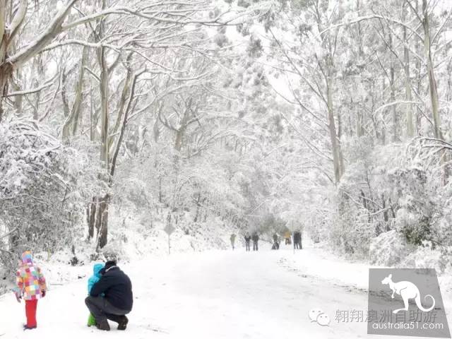 世界十大顶级滑雪场 vs 澳洲人气最高滑雪场!看看你打卡过几个?
