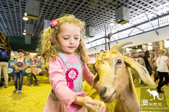 Ekka，40万人期待的布里斯班年度盛会有你吗？