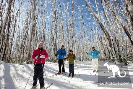 激动!墨尔本周边下大雪了,好玩的滑雪季开始了!最全2019滑雪攻略奉上