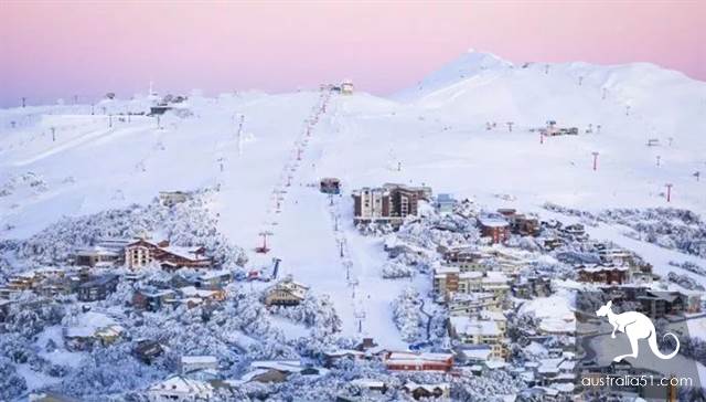 激动!墨尔本周边下大雪了,好玩的滑雪季开始了!最全2019滑雪攻略奉上