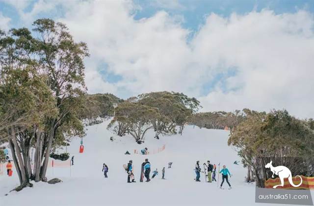激动!墨尔本周边下大雪了,好玩的滑雪季开始了!最全2019滑雪攻略奉上