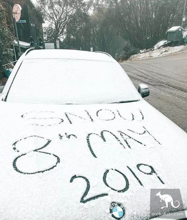 激动!墨尔本周边下大雪了,好玩的滑雪季开始了!最全2019滑雪攻略奉上