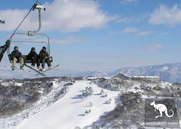激动!墨尔本周边下大雪了,好玩的滑雪季开始了!最全2019滑雪攻略奉上