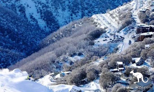 激动!墨尔本周边下大雪了,好玩的滑雪季开始了!最全2019滑雪攻略奉上
