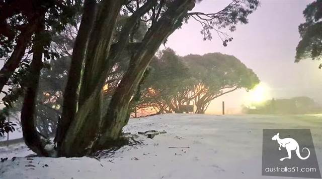 激动!墨尔本周边下大雪了,好玩的滑雪季开始了!最全2019滑雪攻略奉上