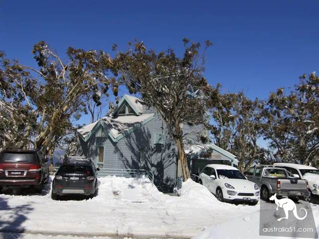 激动!墨尔本周边下大雪了,好玩的滑雪季开始了!最全2019滑雪攻略奉上