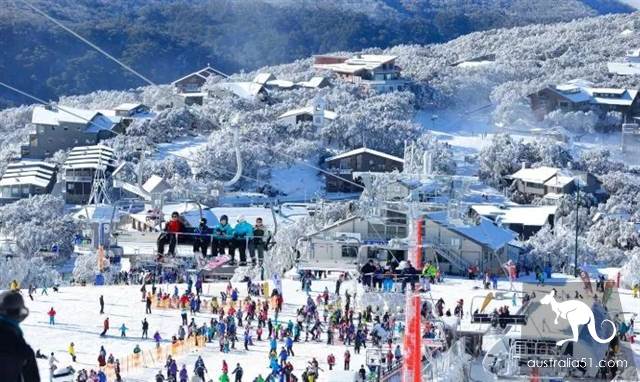 激动!墨尔本周边下大雪了,好玩的滑雪季开始了!最全2019滑雪攻略奉上