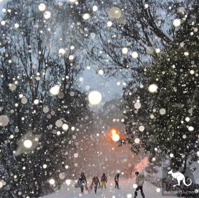 激动!墨尔本周边下大雪了,好玩的滑雪季开始了!最全2019滑雪攻略奉上
