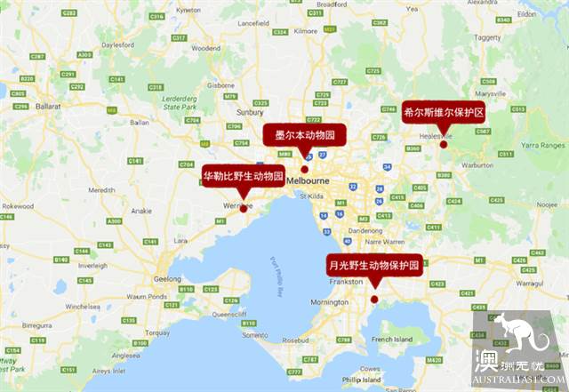 墨尔本动物园全攻略，带你玩转动物世界！