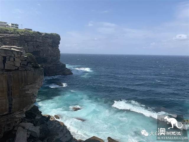 沧海遗珠，悉尼钻石湾保护区，INS博主惊险照秒解锁