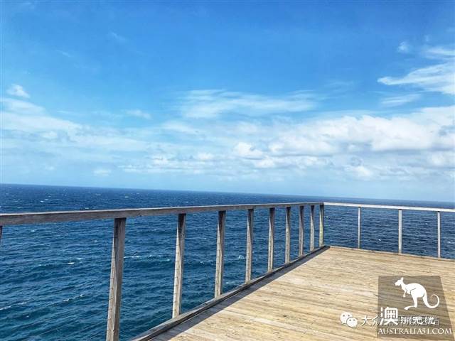 沧海遗珠，悉尼钻石湾保护区，INS博主惊险照秒解锁